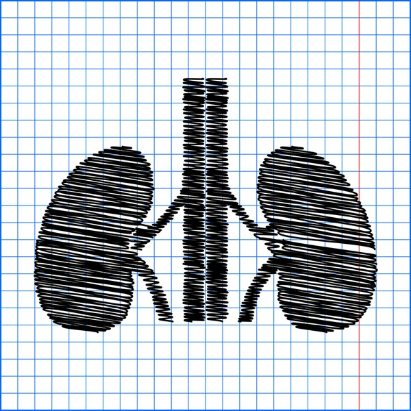 Human kidneys sign — Stock Vector