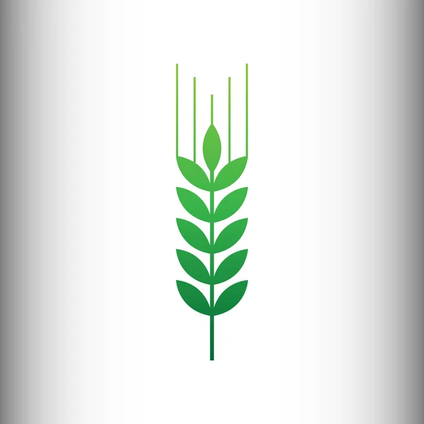 Wheat sign. Green gradient icon — Stock Vector