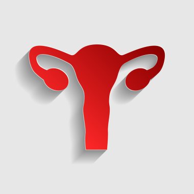 İnsan vücudu anatomisi rahim işareti