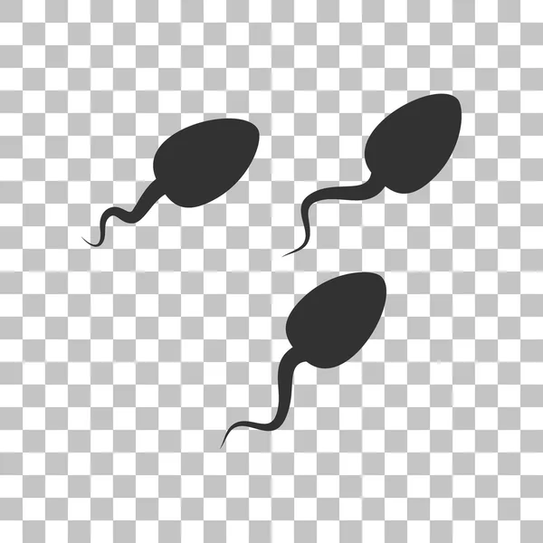 Spermatozoi segno illustrazione. Icona grigio scuro su sfondo trasparente . — Vettoriale Stock