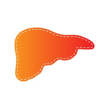 İnsan anatomisi illüstrasyon. Karaciğer işareti. Turuncu aplike izole.