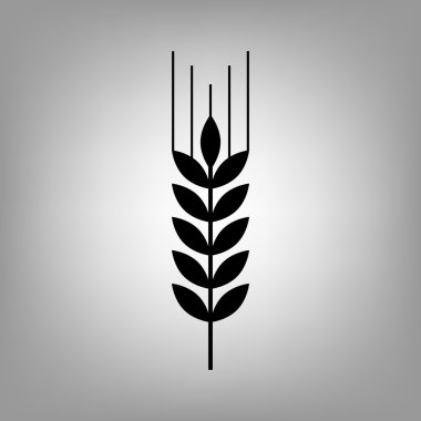 Buğday düz simgesi