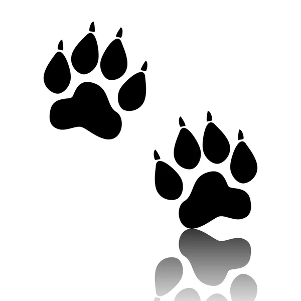 Animal Tracks. Vector illustration — Stock Vector