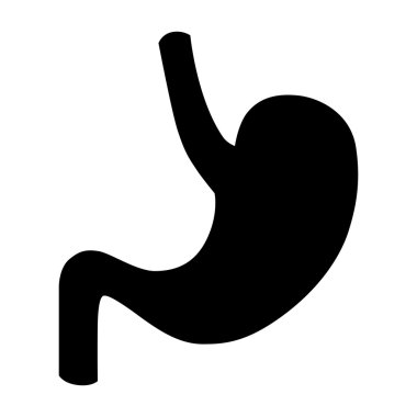 İnsan anatomisi. Mide