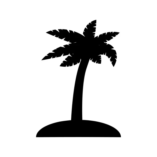 Palmera de coco — Vector de stock