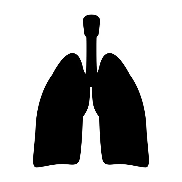 인간의 기관 폐 — 스톡 벡터