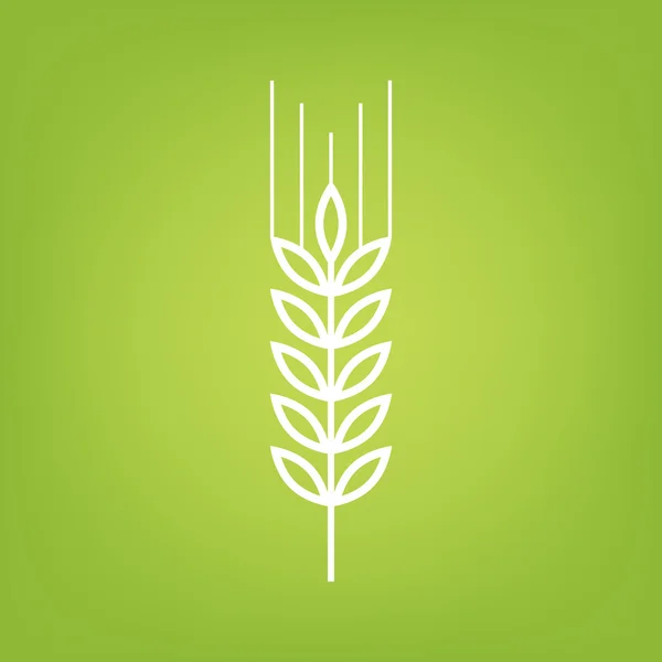 Ikona čáry pšenice — Stockový vektor
