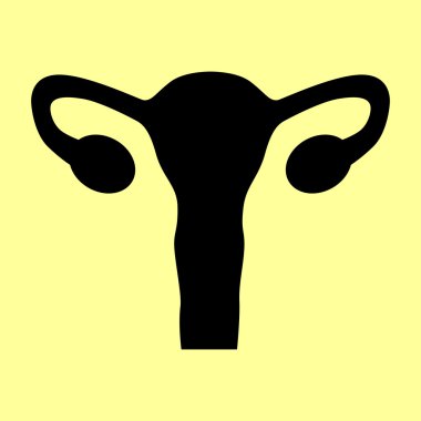 İnsan vücudu anatomisi