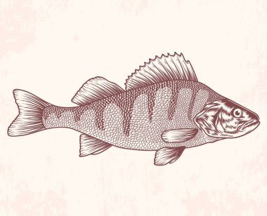 old school fish drawing clipart
