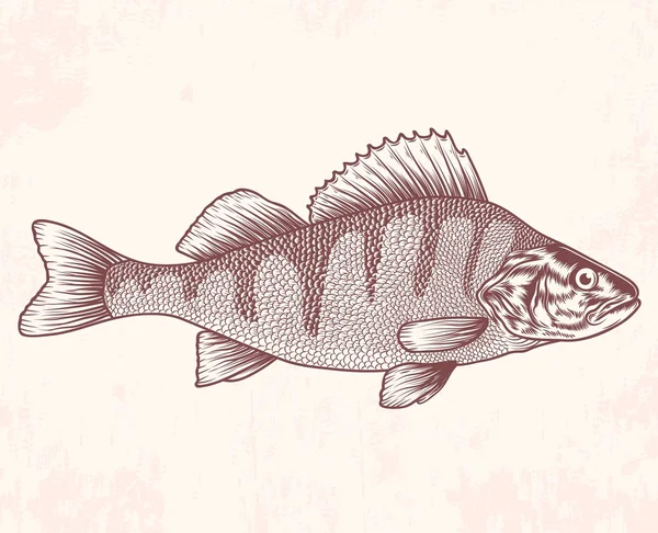 Velha escola peixe desenho —  Vetores de Stock