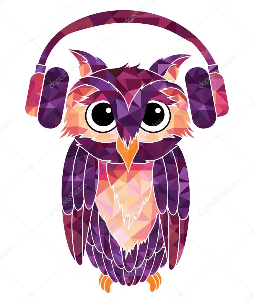 Owl music fan