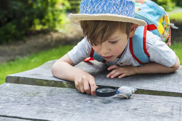 Niño pequeño descubriendo la naturaleza —  Fotos de Stock