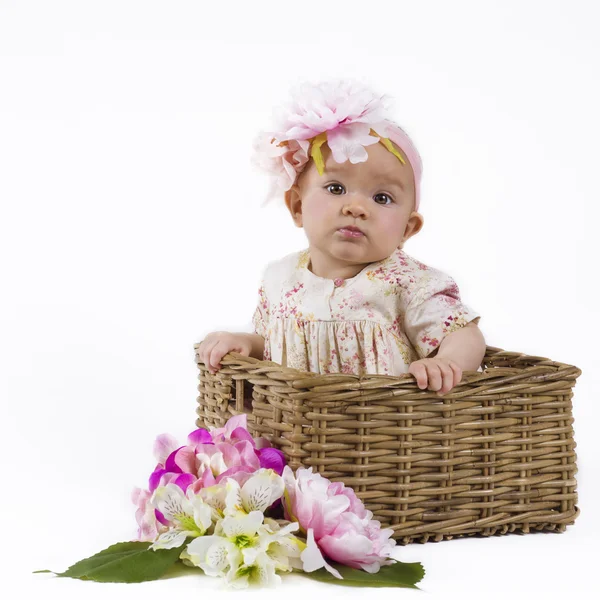 Hermosa niña en una cesta — Foto de Stock