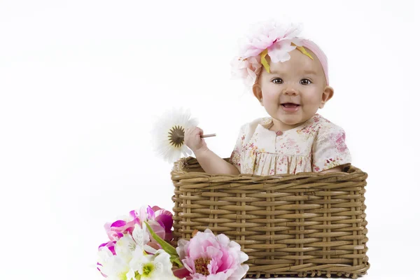 Hermosa niña en una cesta —  Fotos de Stock