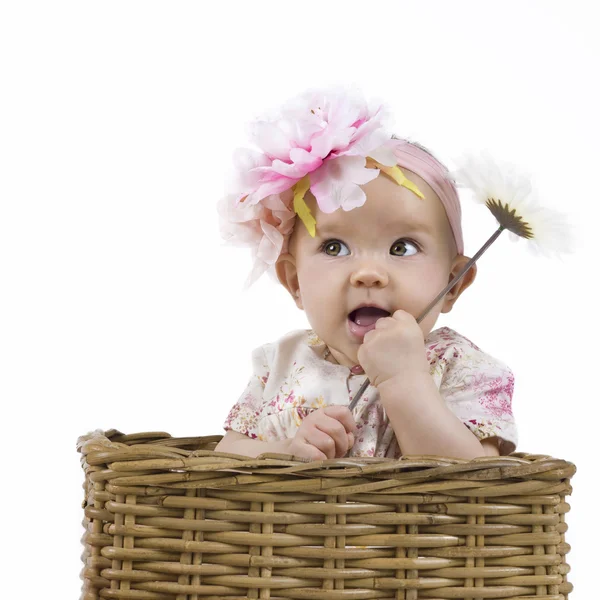 Hermosa niña en una cesta —  Fotos de Stock