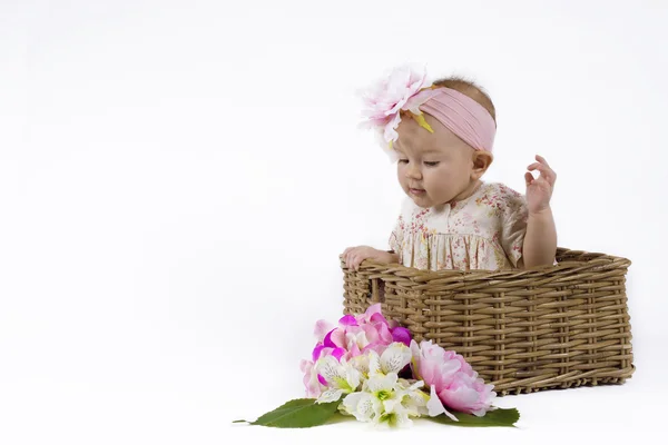 Hermosa niña en una cesta —  Fotos de Stock