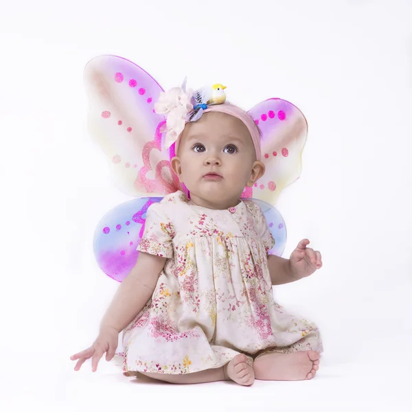 Baby butterfly — Stock Photo, Image