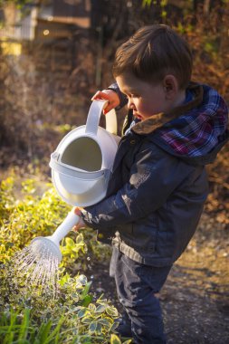 Bahar bahçe gün batımında