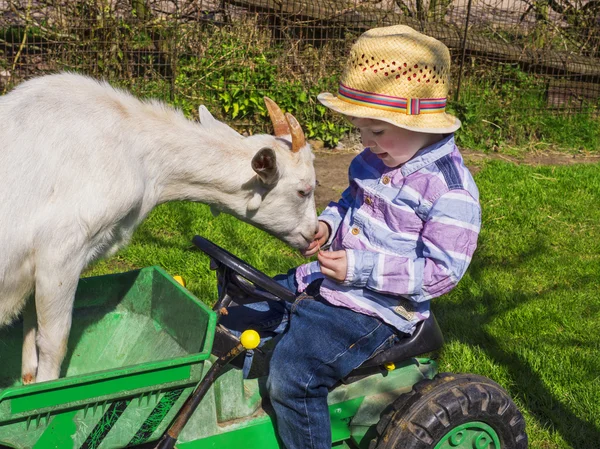 Küçük çiftlik çocuk ve keçi — Stok fotoğraf
