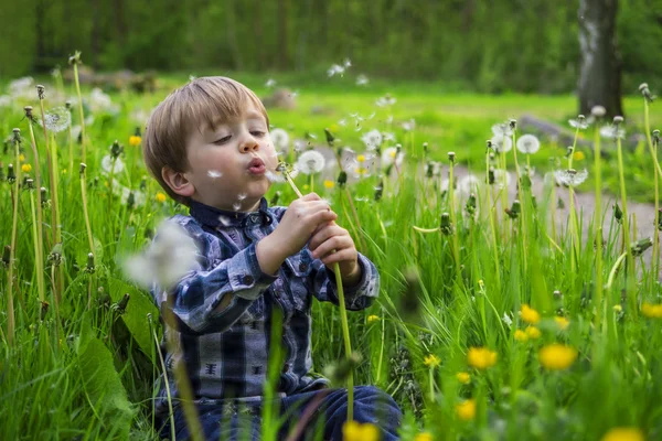 Little kid with dandelions — Stock Photo, Image