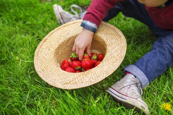 Niño comiendo fresas —  Fotos de Stock