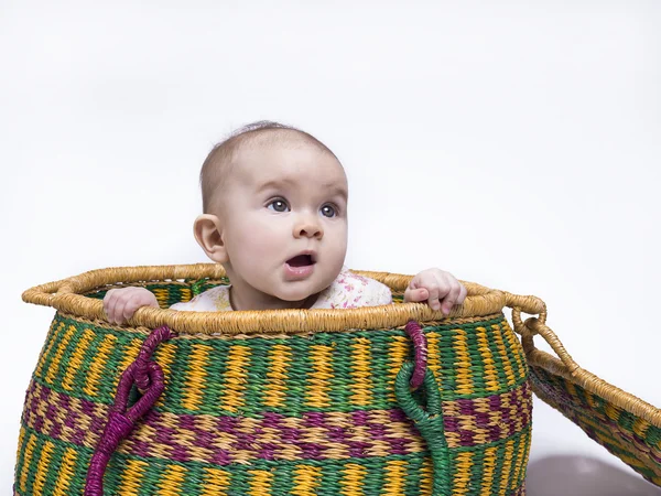 Peek-a-boo — Stock Photo, Image