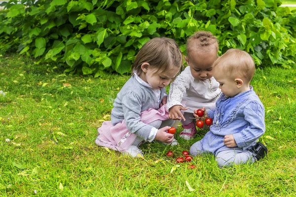 Tre små flickor leker i trädgården — Stockfoto