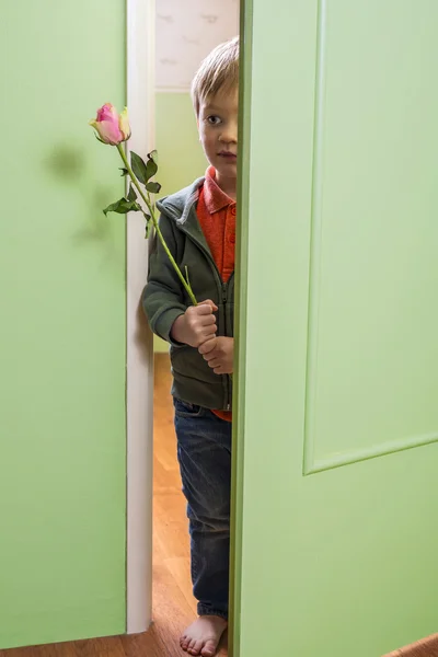 Adorable niño sosteniendo una rosa —  Fotos de Stock