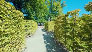 SALZBURG, AUSTRIA 3 Ekim 2025: Yüksek, manikürlü çitler tarihi Heckentiyatronun doğal sahnesini ve koridorlarını oluşturur. Görüntülerde açık hava barok tiyatrosunun parlak gökyüzünün altındaki simetrik yeşil duvarlar ve çakıl yolları gösteriliyor..