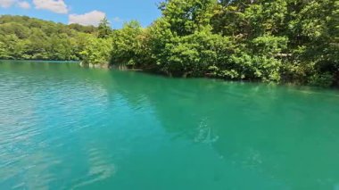 Durgun dalgalı yüzeyi ve yoğun yeşil orman kıyı şeridi olan turkuaz tatlı su gölü videosu. Ticari stok kullanımı için uygun arka plan görüntüsü.