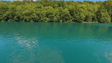 Geniş deniz mavisi tatlı su gölü, yumuşak rüzgar tarafından taşınan dalgalar ve çerçevenin üzerinde yoğun bir orman kıyı şeridi, gün ışığında görülüyor. Doğal arka plan görüntüsü olarak ticari stok kullanımı için uygundur.