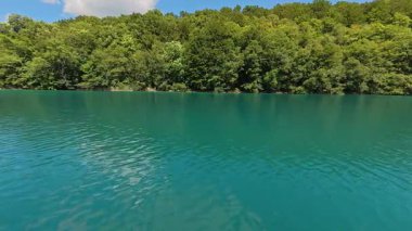 Açık deniz mavisi tatlı su gölünün, pürüzsüz dalgalanmaları ve uzak sahil boyunca gün ışığında sürekli yoğun bir orman çizgisi olan video görüntüleri. Ticari stok kullanımı için uygun arka plan görüntüsü olarak.