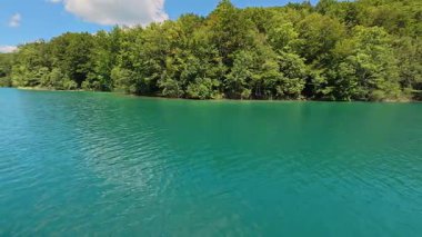 Turkuaz tatlı su gölü, yumuşak bir kıyı şeridi eğrisi, desenli su yüzeyi ve yoğun yeşil ormanı gün ışığında gösteriyor. Doğal arka plan görüntüsü olarak ticari stok kullanımı için uygundur.