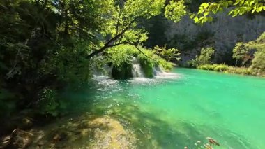 Küçük çağlayan şelaleleri, kristal berrak suları, kayalık dibi, yemyeşil ormanı, doğal gün ışığını, sakin dalgaları, el değmemiş yabanı, ticari stok kullanımı için uygun olan turkuaz tatlı su gölü videosu..