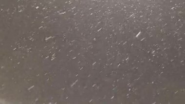 Bir kış fırtınası sırasında yoğun bir kar taneleri rüzgarı karanlık ve nötr bir zemine düşer. Karların hareketi, mevsimsel arka planlar için uygun yumuşak, dokulu bir görsel etki yaratır..