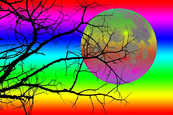 Ağaç siyah silüeti