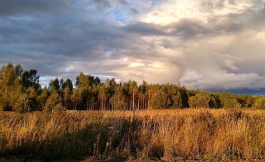 Sonbaharda orman ve tarlada güzel bulutlar