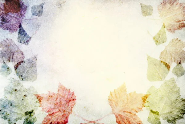 Concept of autumn frame background with colorful leaves  blank template for autumn design