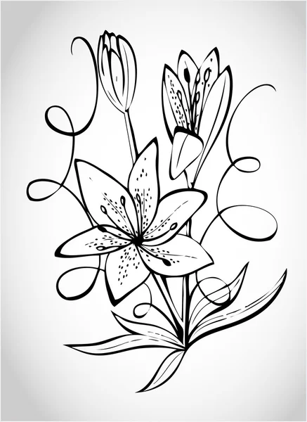 Planta de dibujo Lily — Vector de stock