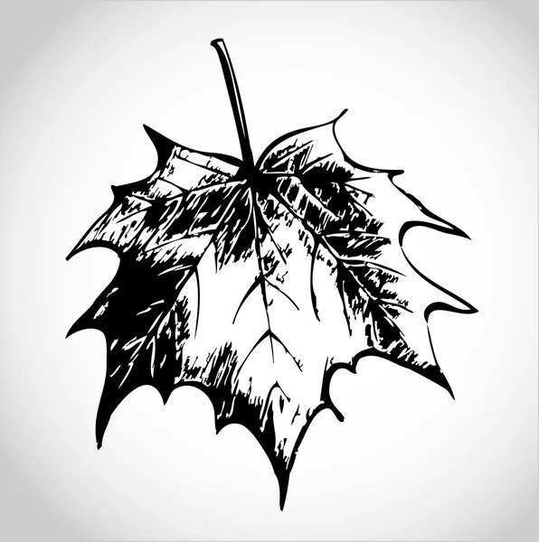 Тату кленовый лист эскиз тату