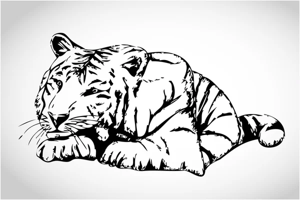 Small white tiger vector illustration — Stock Vector