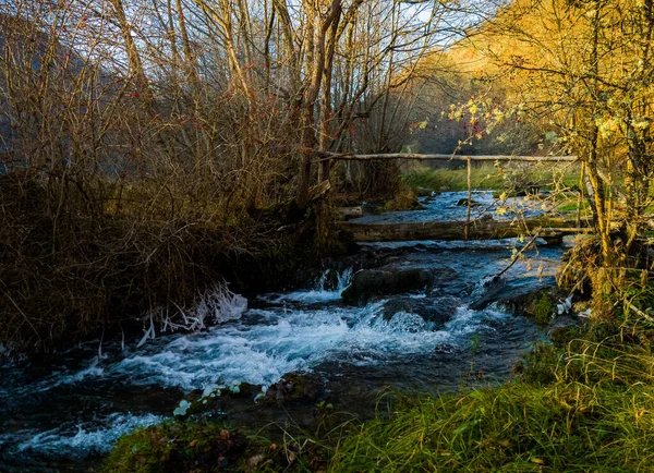 Malá Divoká Řeka Přírodě Polovině Podzimu Spoustou Zeleně — Stock fotografie
