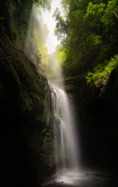 Cascada Con Bordes Sombreados Vegetación Con Luz Proveniente Arriba Imagen de stock