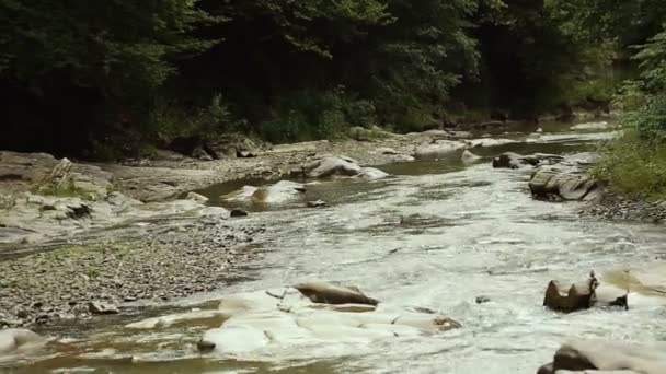 Pequeno belo rio flui entre rochas e árvores. Um local perfeito para pescar. Rhodope Mountains, Bulgária . — Vídeo de Stock