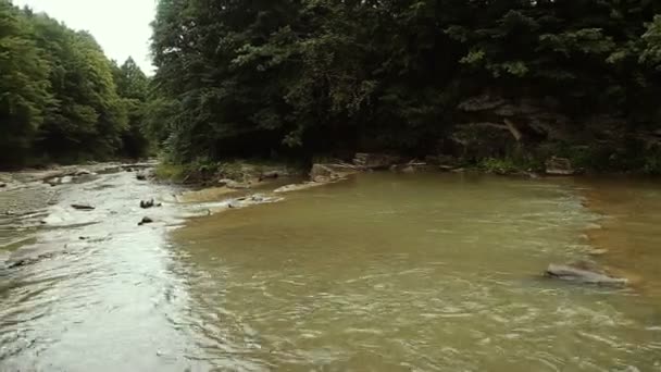 Liten vacker flod flöden mellan stenar och träd. en perfekt plats för fiske. Rodopibergen, Bulgarien. — Stockvideo