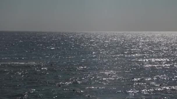 Havet bländar solen — Stockvideo