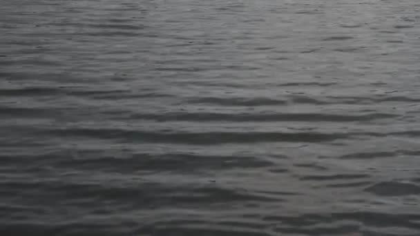 Pequeñas olas en el río — Vídeos de Stock