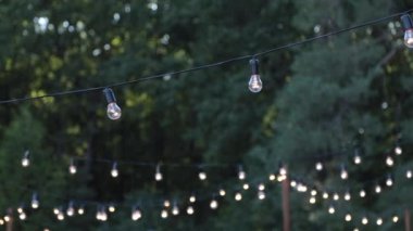 Doğada ampullerin güzel çelengi