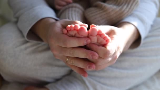 Baby feet in daddys hands — Stock Video