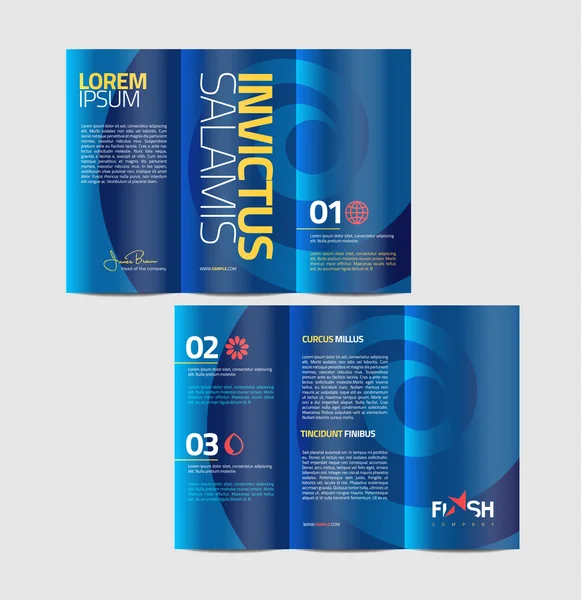 Abstract business brochure design — Stock Vector © feabornset 64043985